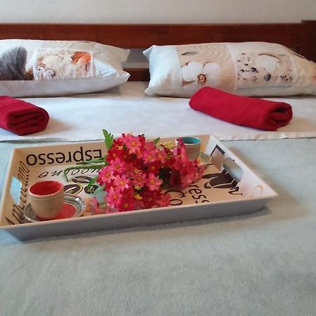 Apartment Vladka Izola Bagian luar foto